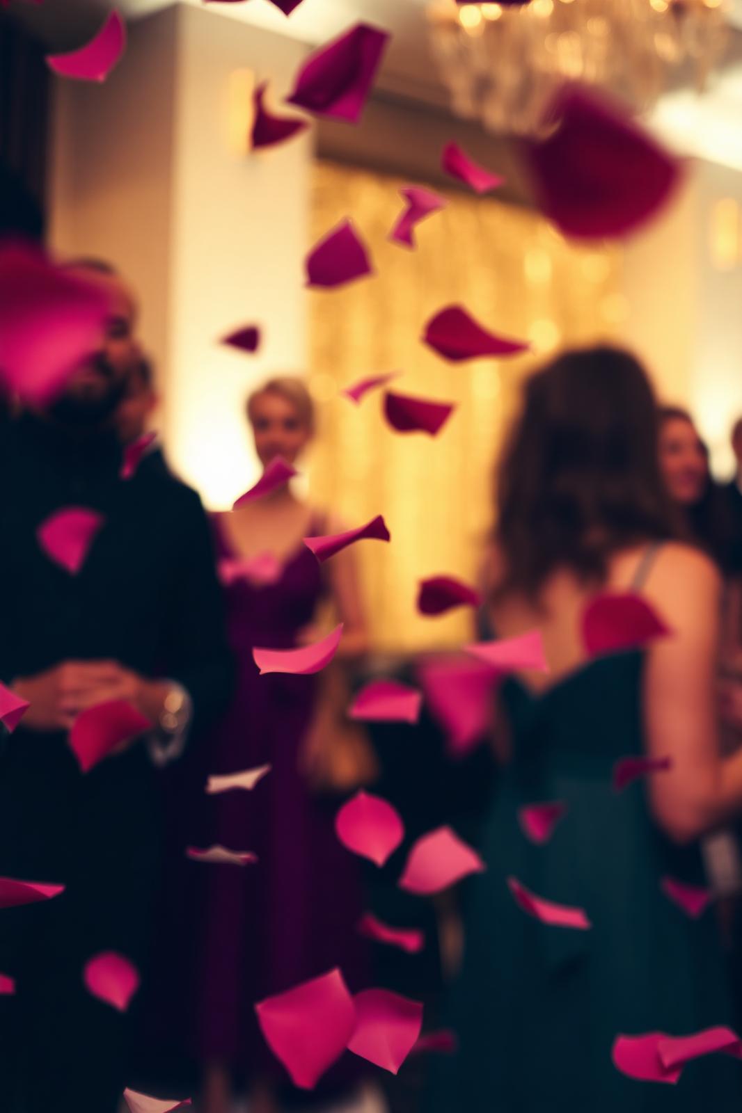 Confetti & petals — Miami